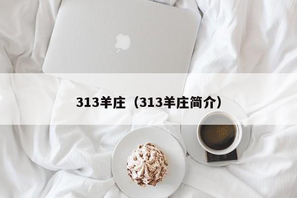 313羊庄（313羊庄简介）