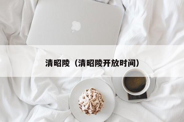 清昭陵（清昭陵开放时间）