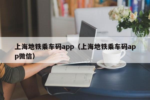 上海地铁乘车码app（上海地铁乘车码app微信）