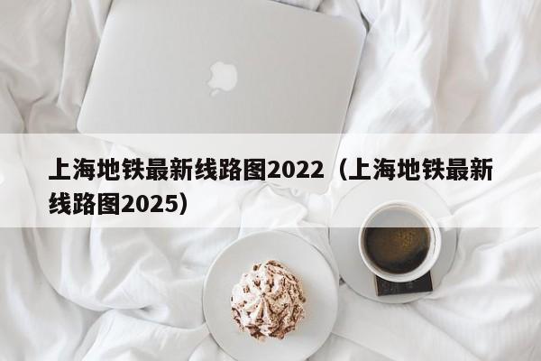 上海地铁最新线路图2022（上海地铁最新线路图2025）