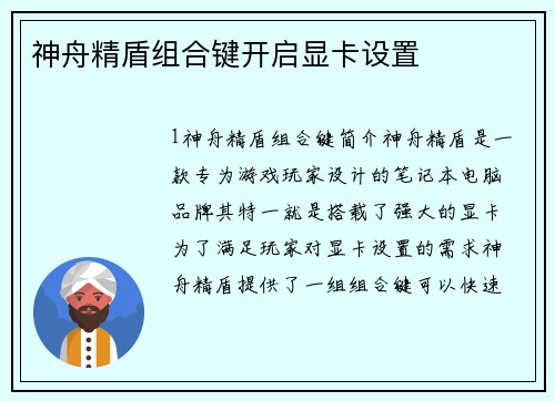 神舟精盾组合键开启显卡设置